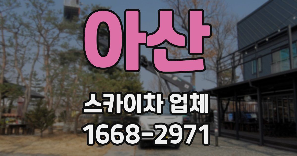 아산 스카이차 업체