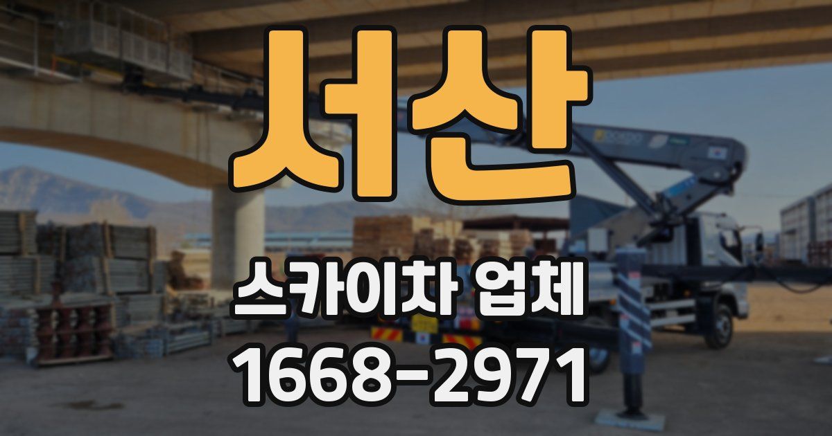 서산 스카이차 업체