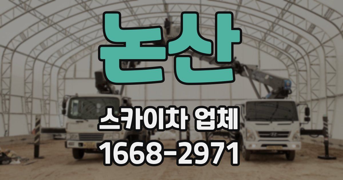 논산 스카이차 업체