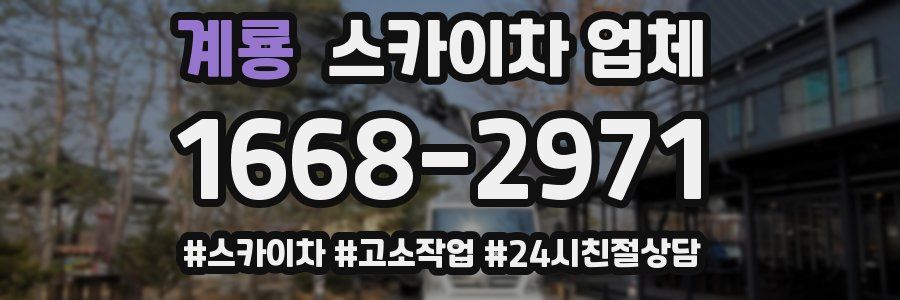 계룡 스카이차 업체