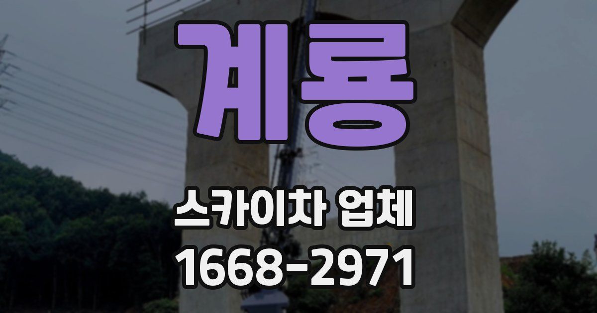 계룡 스카이차 업체