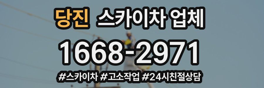 당진 스카이차 업체