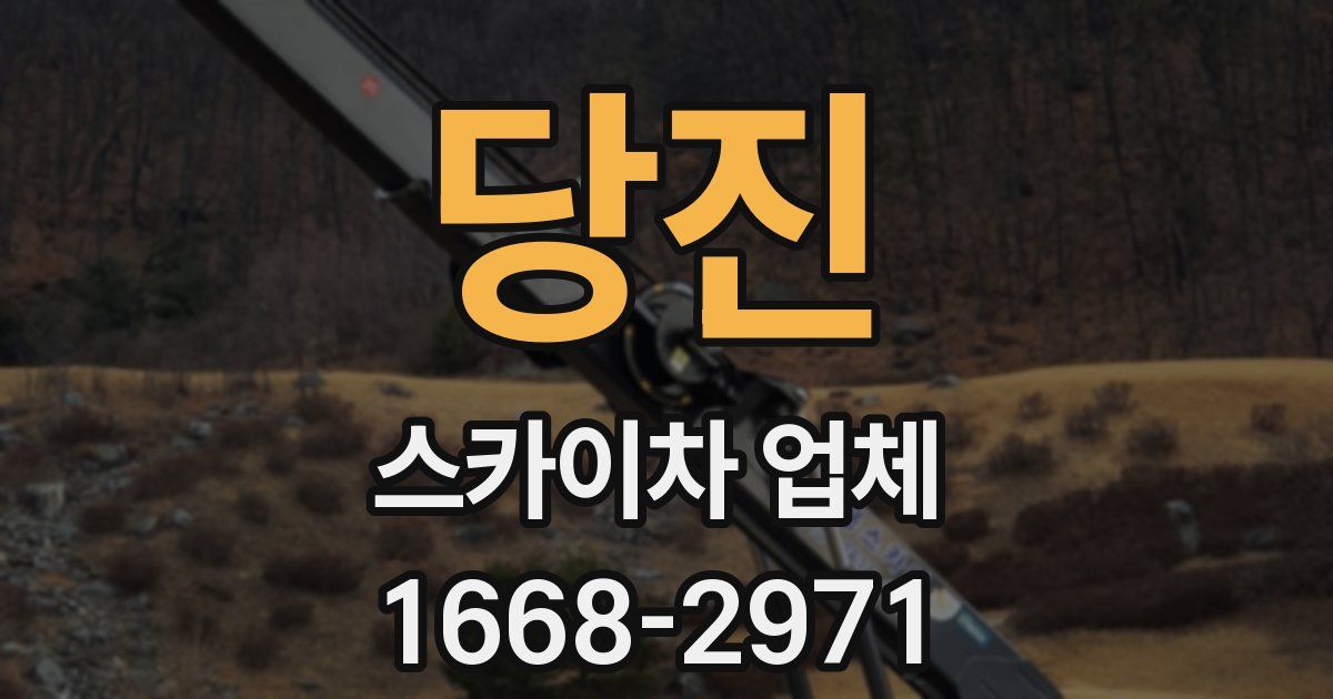 당진 스카이차 업체