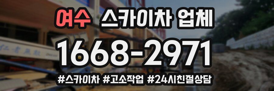 여수 스카이차 업체