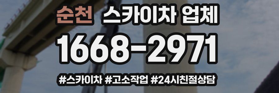 순천 스카이차 업체