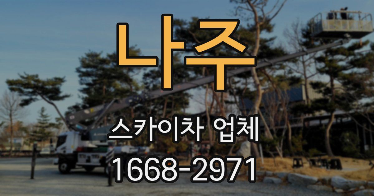 나주 스카이차 업체