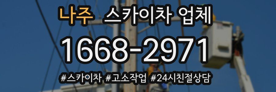 나주 스카이차 업체