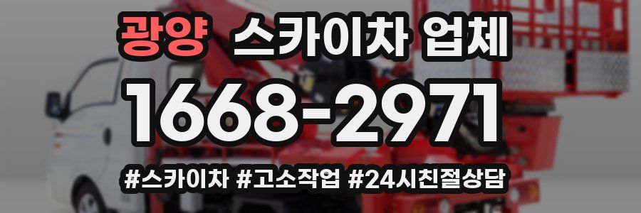 광양 스카이차 업체
