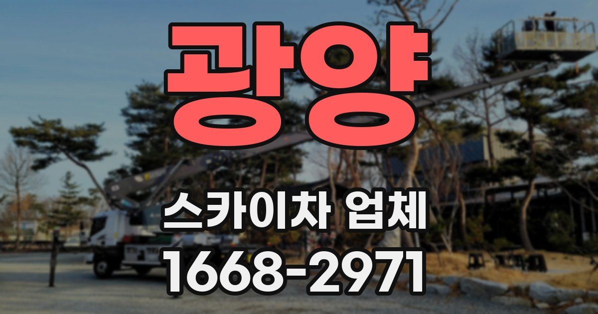 광양 스카이차 업체