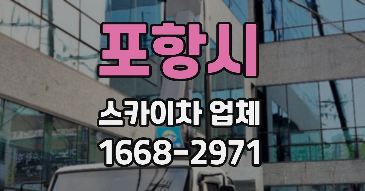 포항시 스카이차 업체