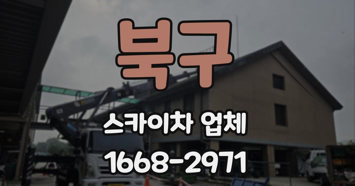 북구 스카이차 업체