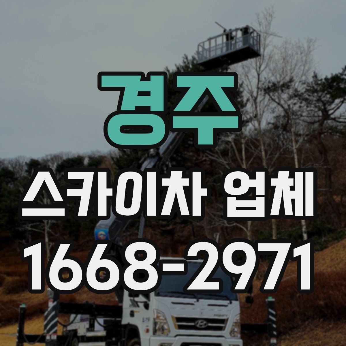 경주 스카이차 업체