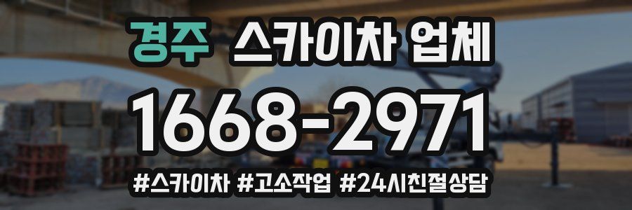 경주 스카이차 업체