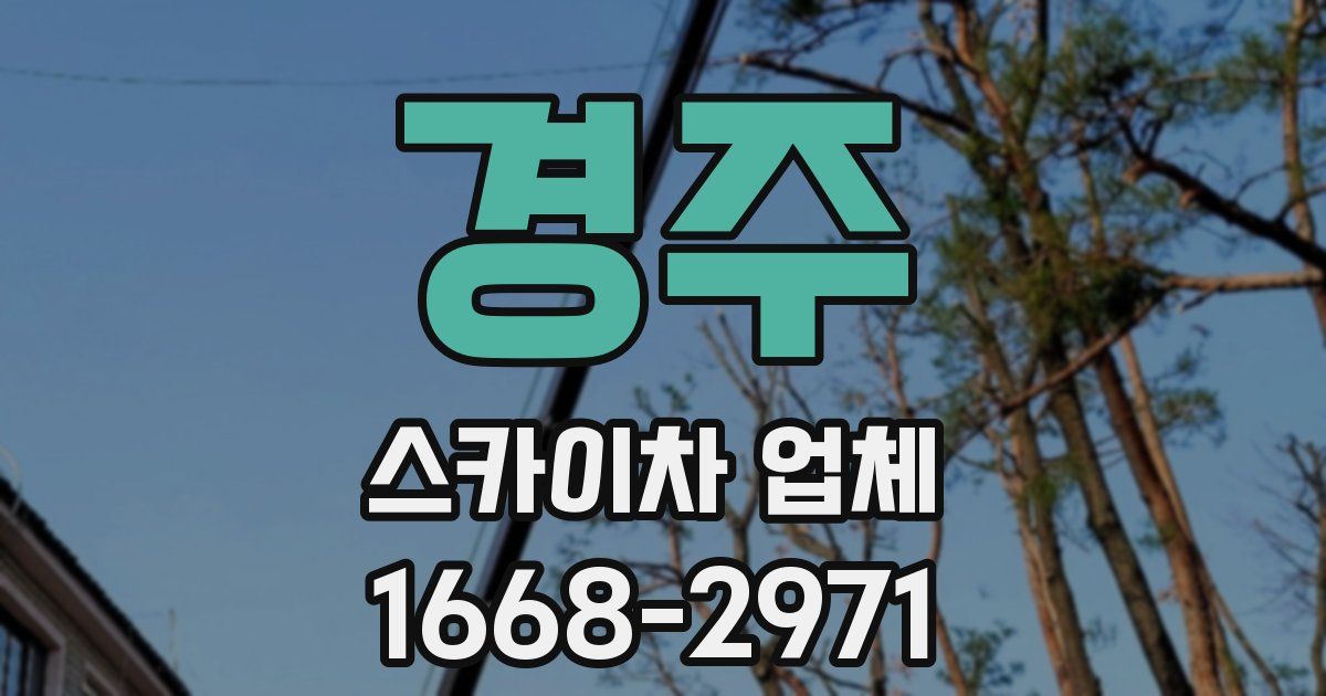 경주 스카이차 업체
