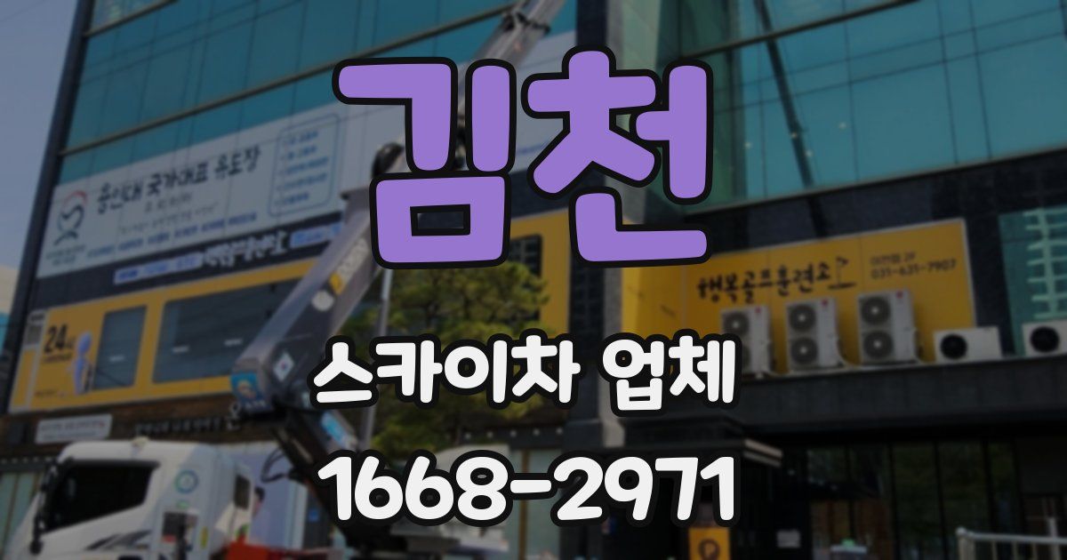 김천 스카이차 업체