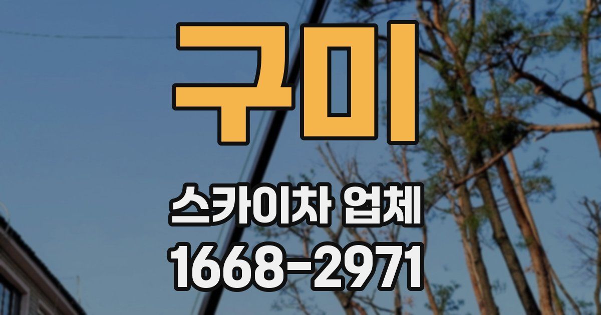 구미 스카이차 업체