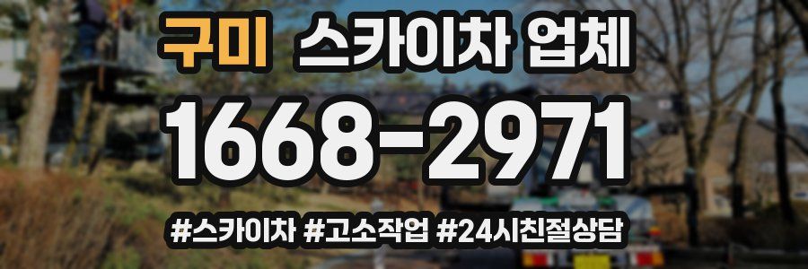 구미 스카이차 업체