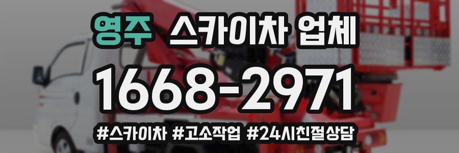 영주 스카이차 업체