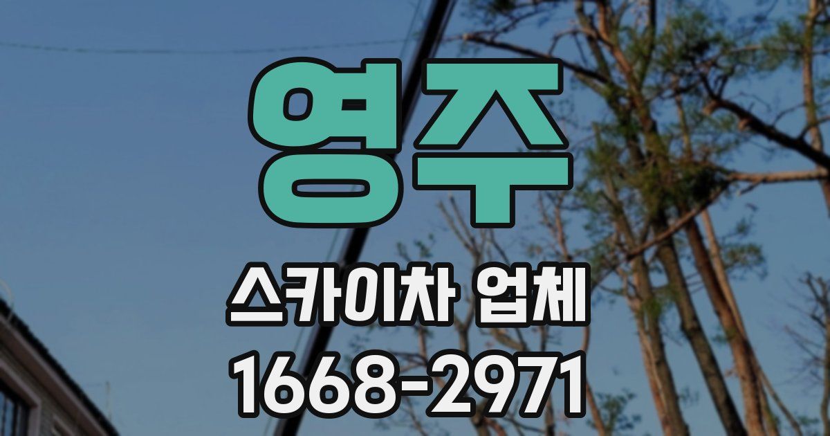 영주 스카이차 업체