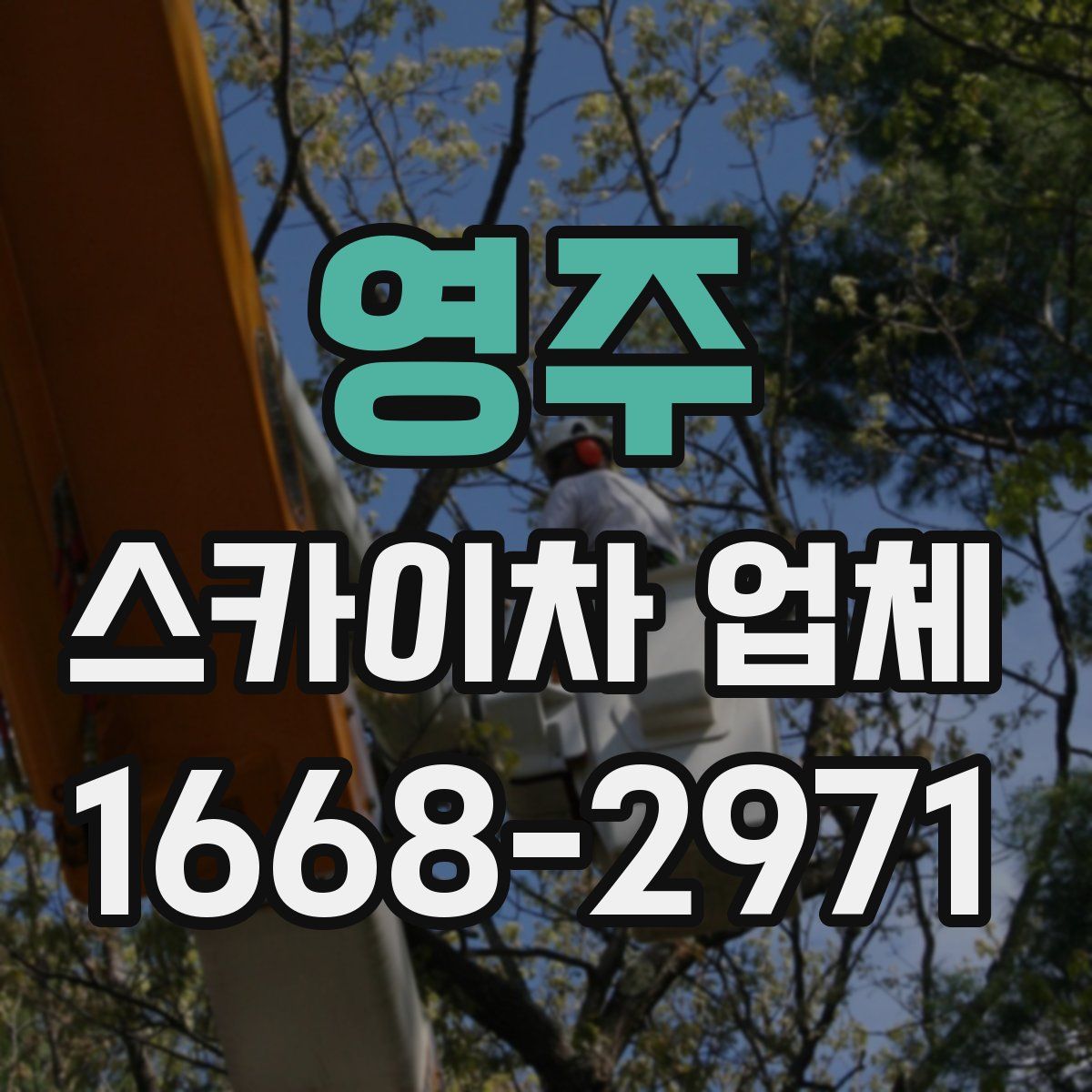 영주 스카이차 업체