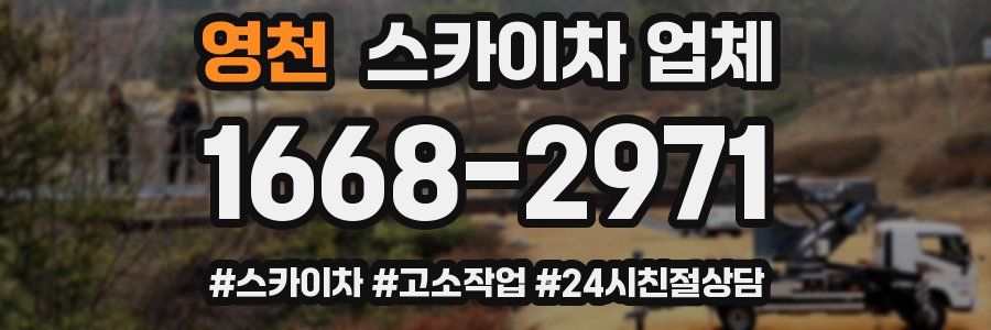 영천 스카이차 업체