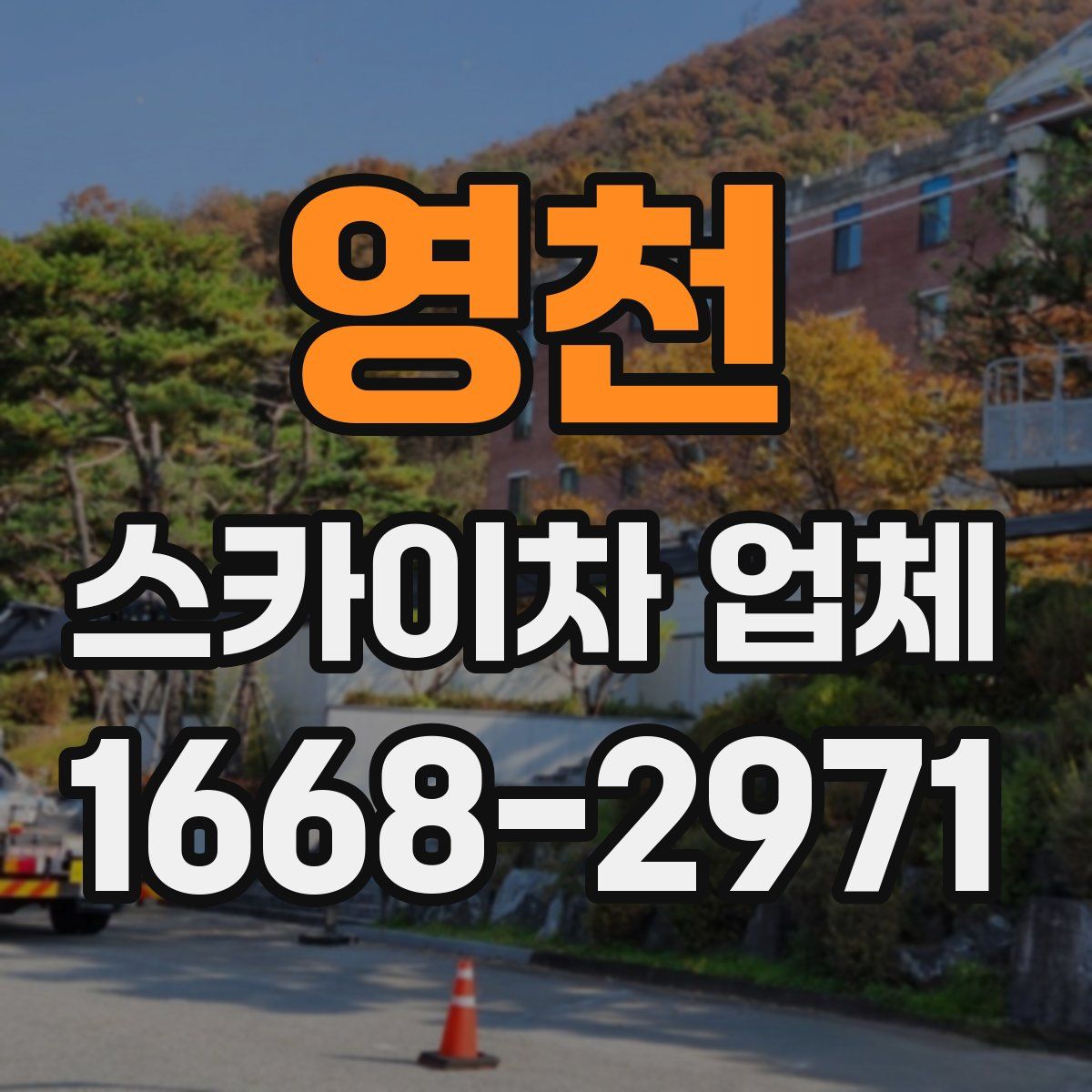 영천 스카이차 업체