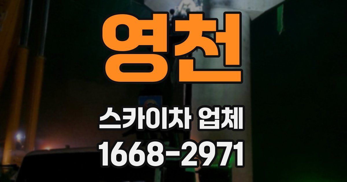 영천 스카이차 업체