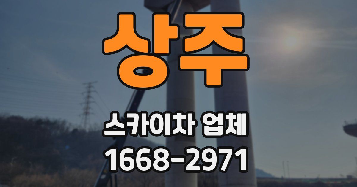 상주 스카이차 업체