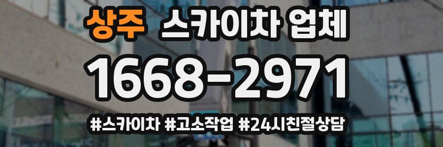 상주 스카이차 업체