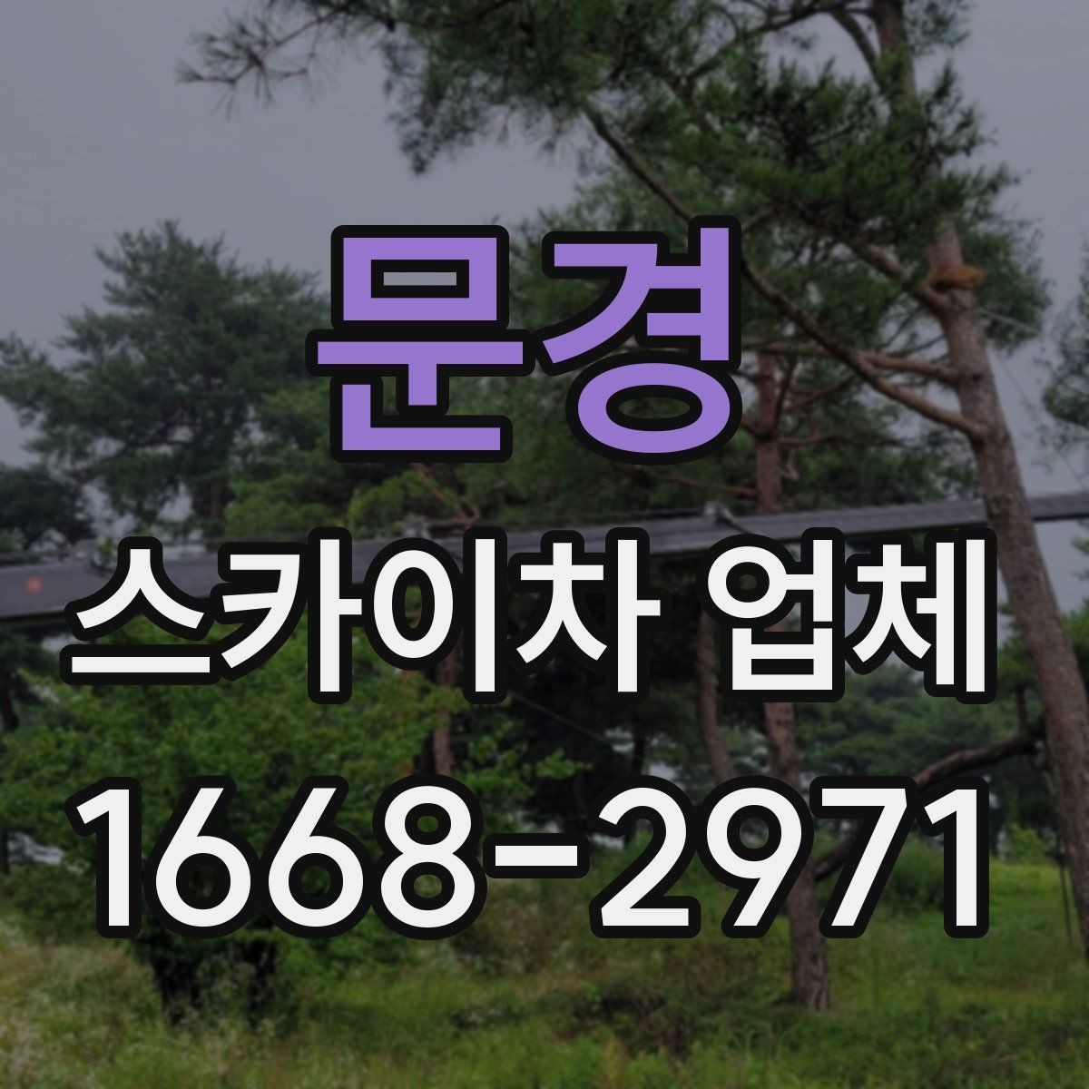 문경 스카이차 업체 선택에 도움이 되는 비교 기준