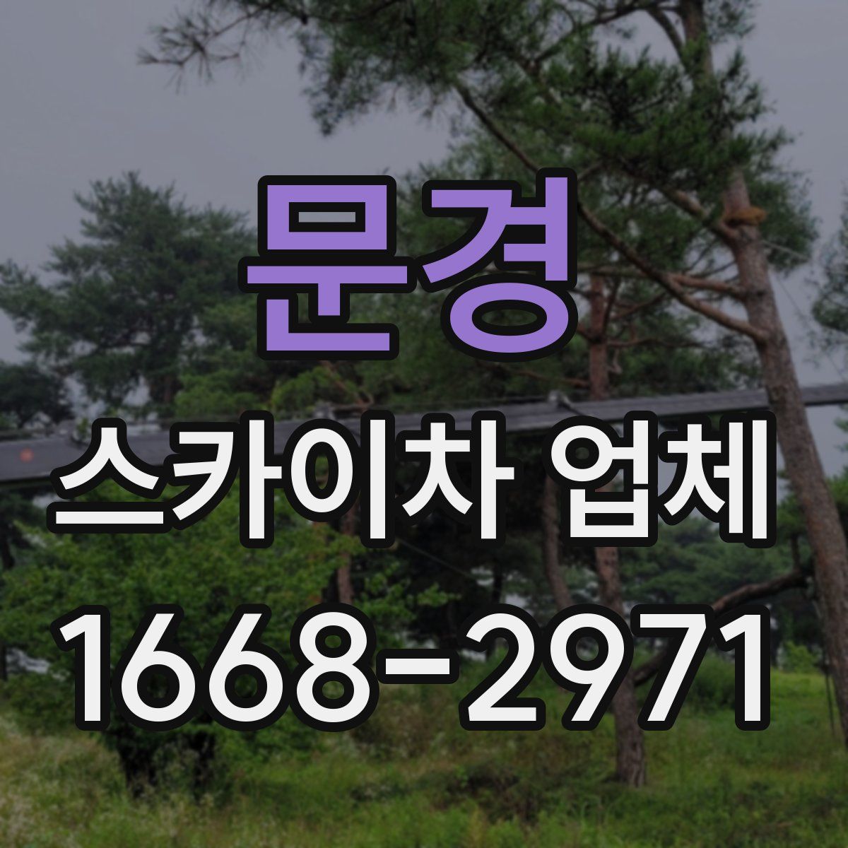 문경 스카이차 업체