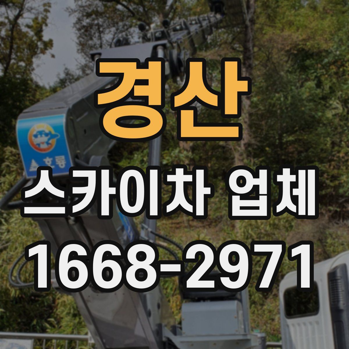 경산 스카이차 업체