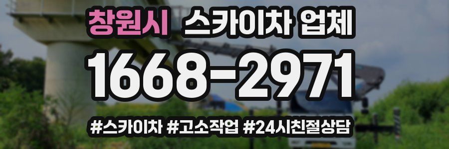 창원시 스카이차 업체