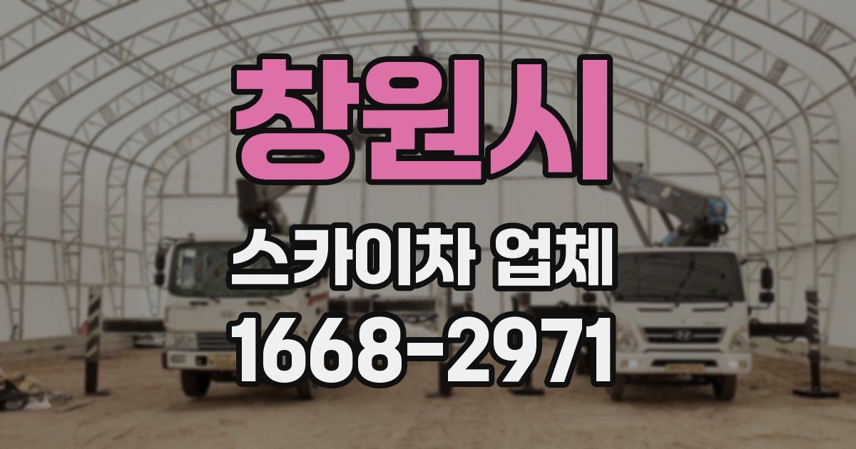 창원시 스카이차 업체