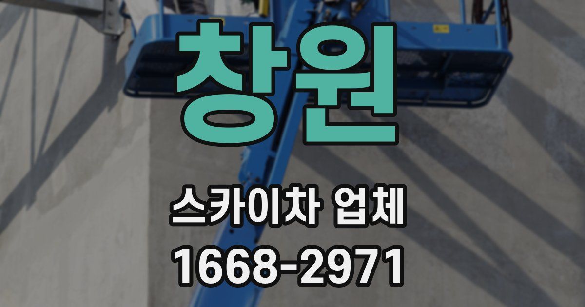 창원 스카이차 업체