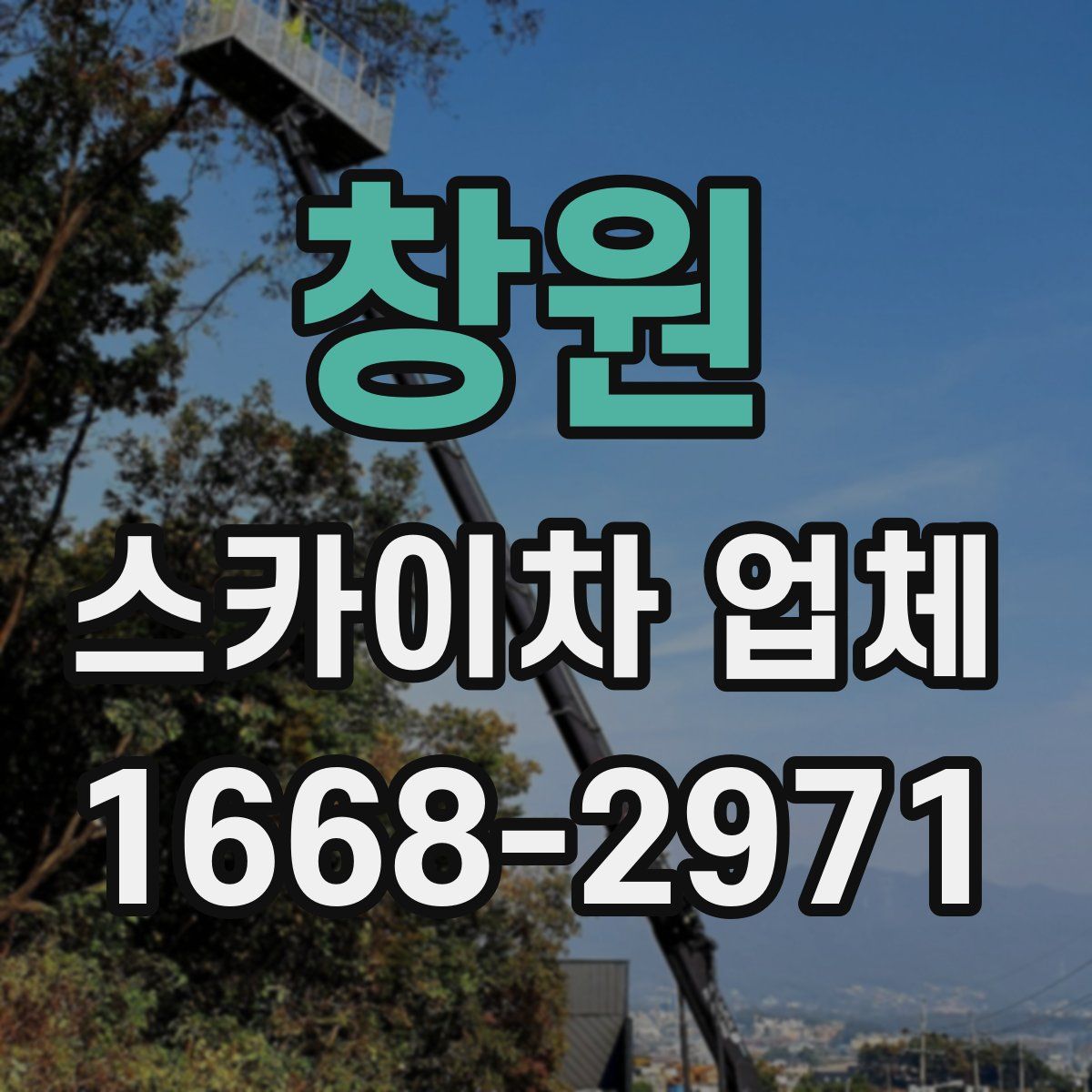 창원 스카이차 업체