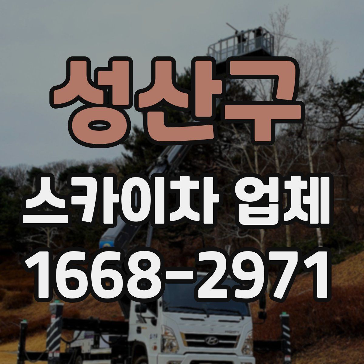 성산구 스카이차 업체