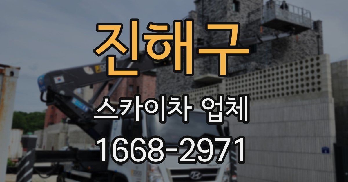 진해구 스카이차 업체
