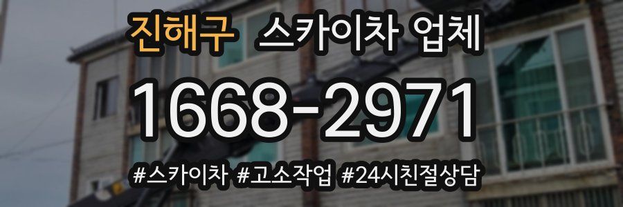 진해구 스카이차 업체