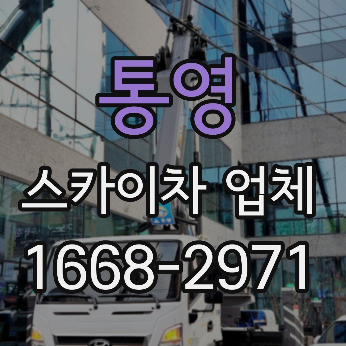 통영 스카이차 업체