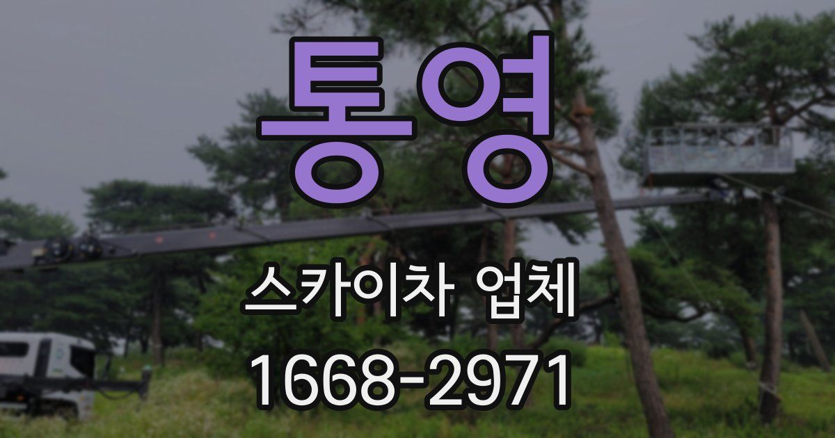 통영 스카이차 업체