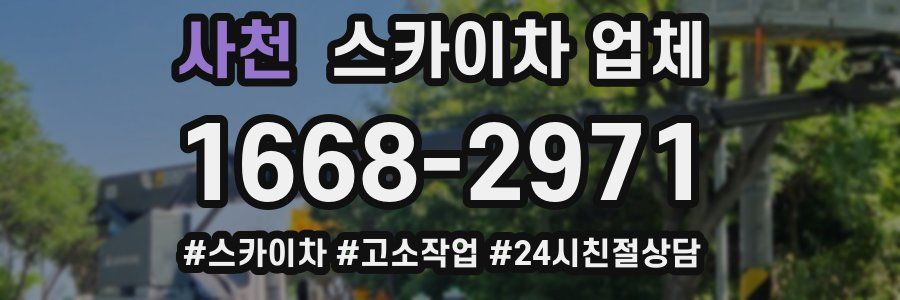 사천 스카이차 업체