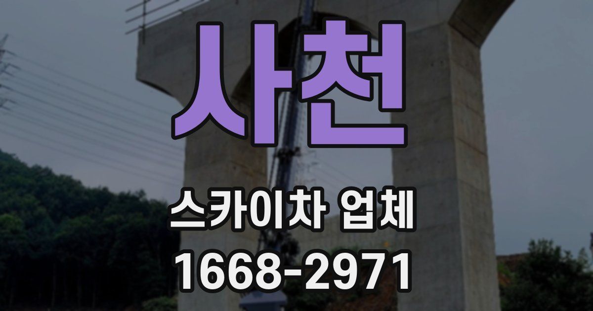 사천 스카이차 업체