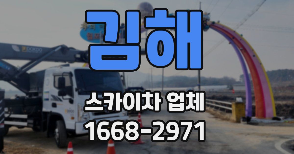 김해 스카이차 업체