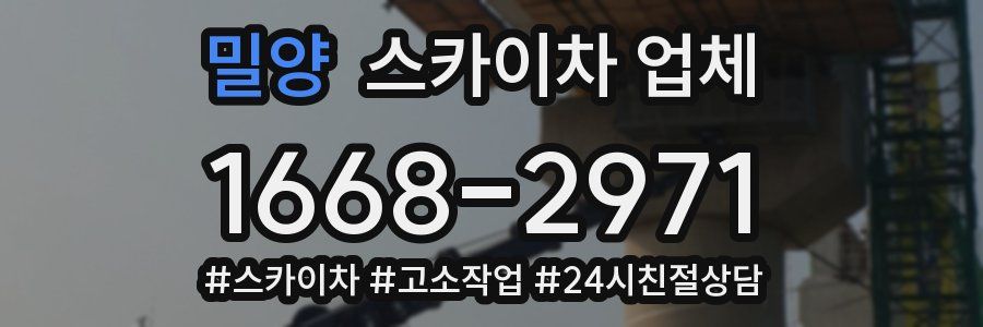 밀양 스카이차 업체