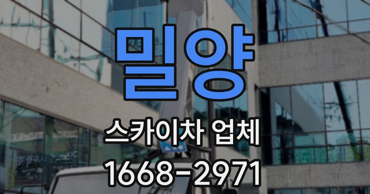 밀양 스카이차 업체