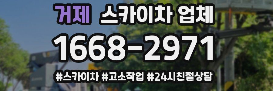 거제 스카이차 업체