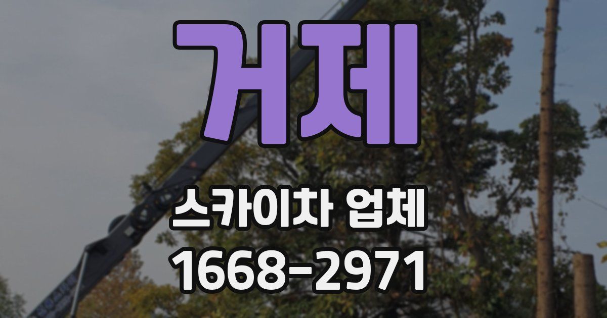 거제 스카이차 업체