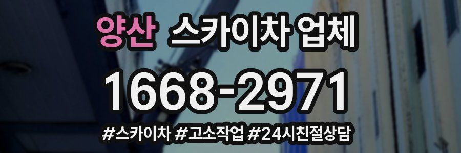 양산 스카이차 업체