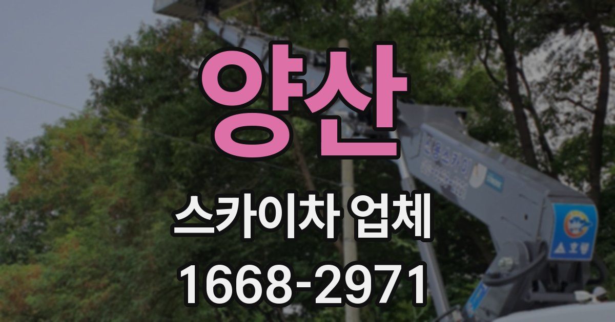 양산 스카이차 업체